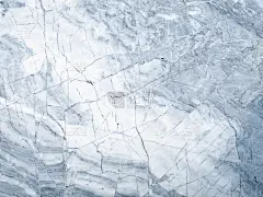 大理石表面以浅灰色的石材纹理为背景。超过一百万年了