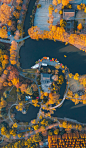 航拍泰州市泰山公园 - 水果天使 - 图虫