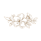手绘樱花免扣元素墨水钢笔花卉插画典雅装饰包装素材设计图形