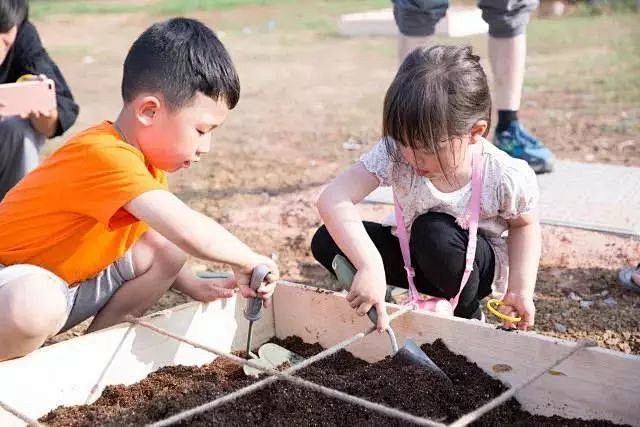 一米菜地
孩子最爱的私房菜园