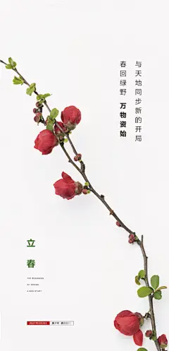 立春 花苞 -享设计