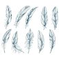 Hand drawn feathers set on white background