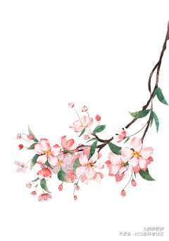 杦玥采集到杦玥●古风【植物】素材