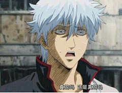 青春如此的挥霍采集到银魂GINTAMA，ぎんたま