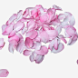 粉红樱花花瓣设计素材 免费下载 页面网页 平面电商 创意素材 png素材