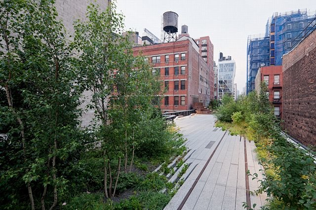 纽约高线公园（The High Line...