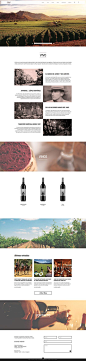 VIVO wines on Behance: 