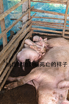 6月~采集到杨佳琴的自拍照及自我真实写照