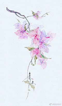 梅骨朵儿采集到插画～花草