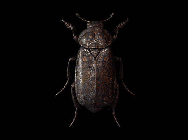 Engraved Entomology ...
