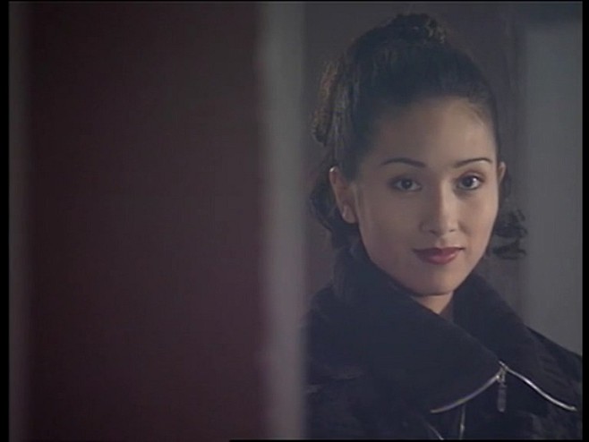 杨恭如国际刑警1997罂之讼