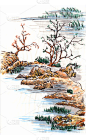 中国画景观