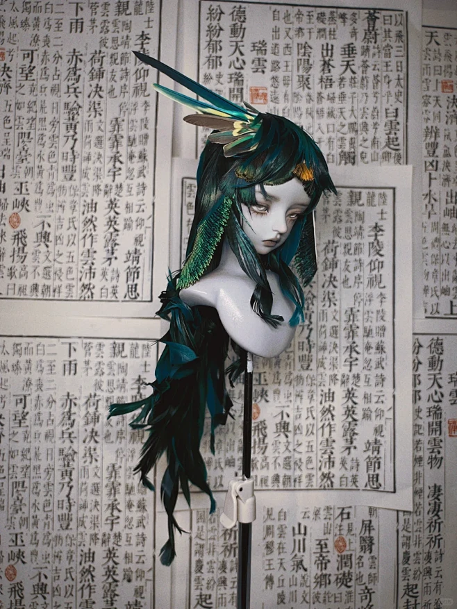 鹦鹉毛-自由款羽毛头展示 - 小红书