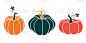 一个平面风格的南瓜的鲜明例证。可爱的蔬菜非常适合装饰秋季假期、万圣节、健康食品、办公用品.