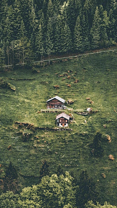 阿喵哥儿采集到风景