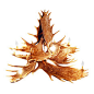 Muskoka Lifestyle Products - Faux Rustic Moose 10 Antler Chandelier, 8 Candle Lights, 1 Down Light - Chandeliers