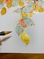 发光的喜鹊柿子✨喜上枝头～_3_薯条人画画_来自小红书网页版