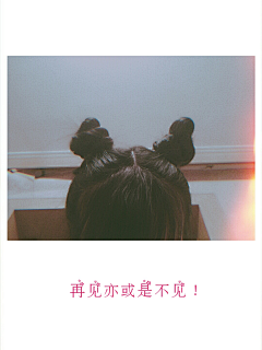 幻想成人的胡萝卜采集到蒲公英之旅