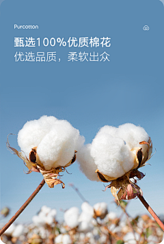 一只鲁迅1采集到面料类文案
