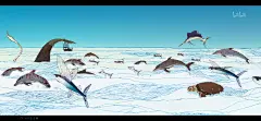 海兽之子