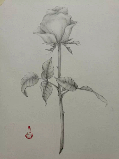 南风抚岸采集到Hand painting