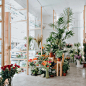 西班牙格拉纳达的Caladium花店的减法设计 | 全球设计风向