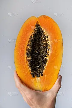 橘色的热带番木瓜果实在一个孤立的背景上握着一只手。生水果是健康食品。饮食。纯素食和素食主义。