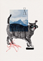 Katze #fischer #cat #illustration #maria #collage
