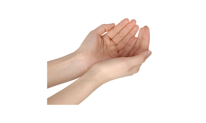双手捧着 png 免抠
