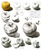 画素描静物就是从直觉感受转为感知的训练，比如画面中的明暗交界线在光线中并不明确需要经过训练才能提炼出这种主观处理的能力，短期见效慢需要长期的坚持，物体受光的照射产生阴影，光来直接照射的位置就较亮慢慢过渡灰面，由灰面过渡到自然的明暗交界线。#每日艺术分享# #为艺考加油# #小泽画室# ​​​​