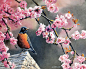 穿梭于四季的小鸟。丨来自美国艺术家Susan Bourdet