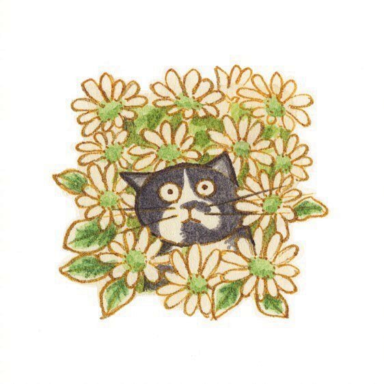呆呆萌萌插画师Eunyoung Seo