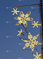 瓦尔纳,垂直画幅,夜晚,无人,欧洲,城市,建筑结构,新年,新年前夕