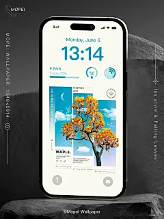 080 ｜自制壁纸：ins极简风 一叶知秋