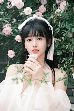 顾林x图片大全-顾林x高清好看的图片--花瓣华仔1223523的画板