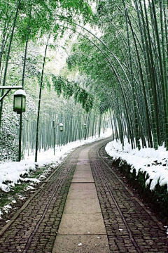 宅妈1002采集到旅行
