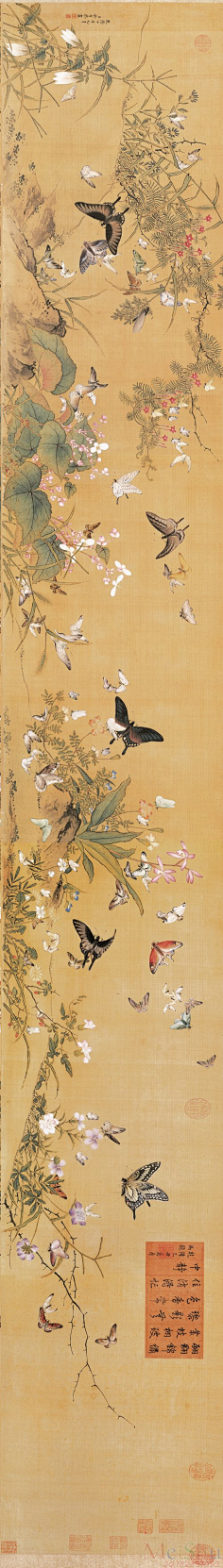 欣赏-花瓣网|陪你做生活的设计师 | 古画花鸟清）余省百蝶图