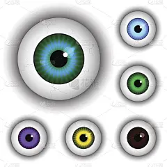 眼睛、眼球瞳孔、虹膜眼套。