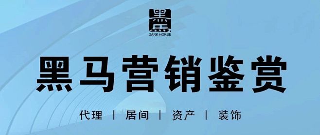 【黑马营销鉴赏】第二期——品牌入市优秀案...
