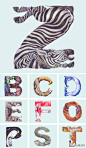 Casey Girard 的动物字母表，斑马也能跳芭蕾了。