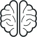Brain