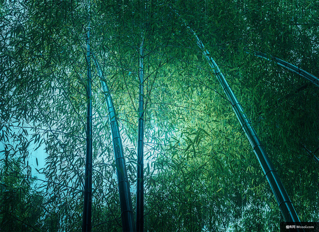 中国最美竹林竹林简笔画竹林作文竹林风景区风景摄影图片图片壁纸