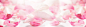 花瓣 banner
