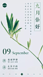 简约简单文艺清新图文九月你好日签