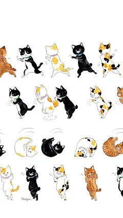 猫