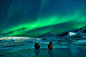 极光, 北极光, 雪, 灯。北方, 蓝色的星空, 阿拉斯加, 雪景, 北极, 灯 --from Noel_Bauza