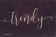 一款酷又要创意的英文字体Trendy Script Font Duo 字体下载 