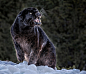 Photograph Scary by Paul Keates    on 500px