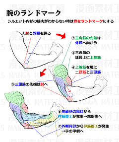 莫莫n_n采集到结构