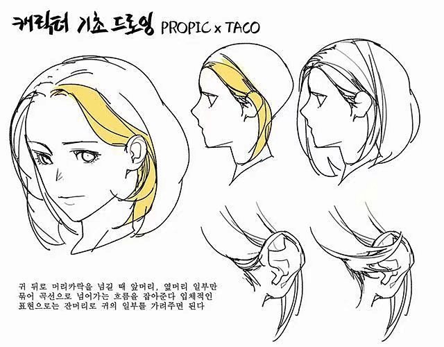 头发的画法
画师taco ​​​​